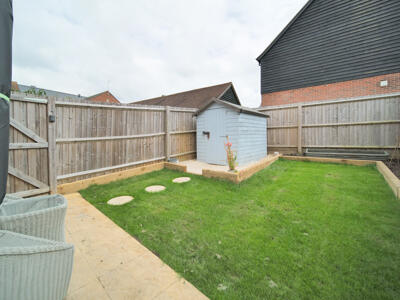 Picture 12